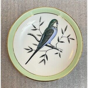 Queen Anne Fine Bone China England Trinket Dish Parakeet Bird 4” Vintage